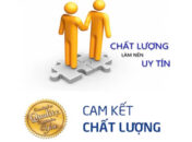 Dịch vụ uy tín